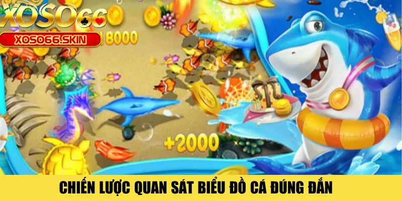 Chiến lược quan sát biểu đồ cá đúng đắn