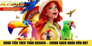 Hoàn Tiền Theo Tuần XOSO66 – Chính Sách Hoàn Vốn Hot