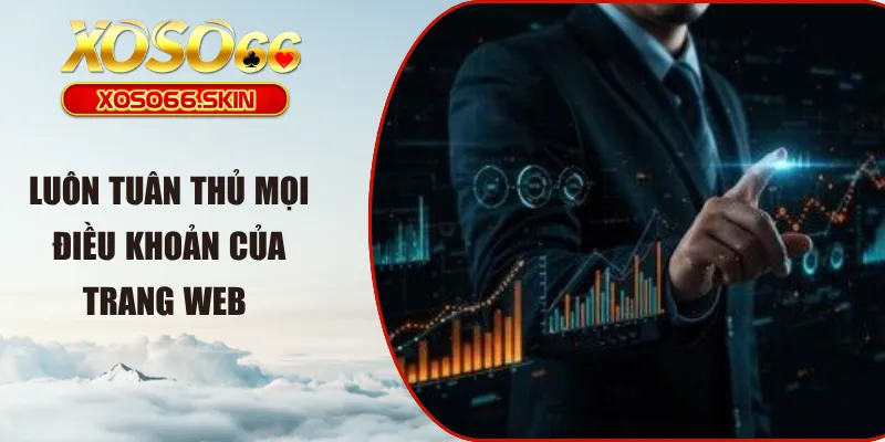 Luôn tuân thủ mọi điều khoản của trang web