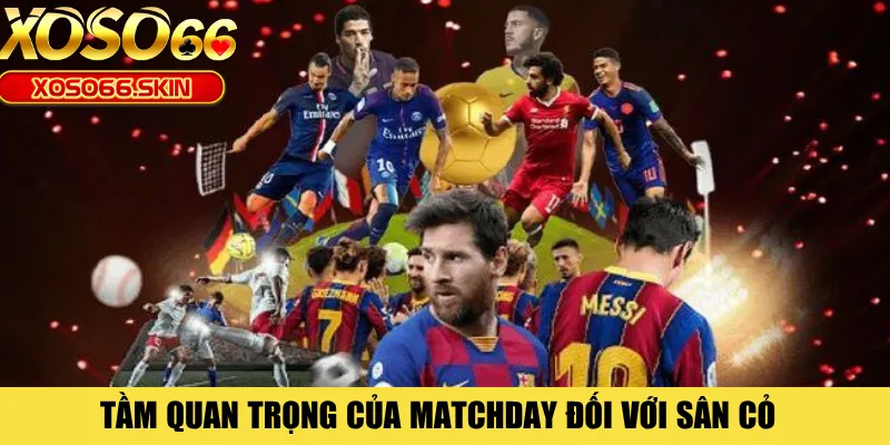 Tầm quan trọng của matchday đối với sân cỏ 
