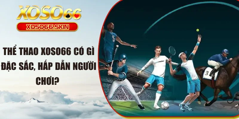 Thể thao XOSO66 có gì đặc sắc, hấp dẫn người chơi?