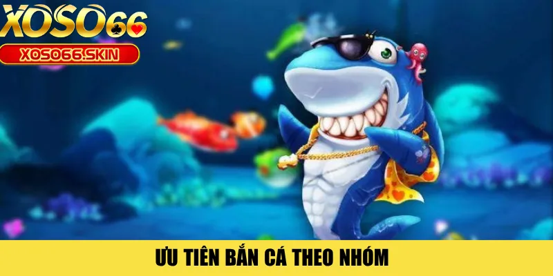 Ưu tiên bắn cá theo nhóm 
