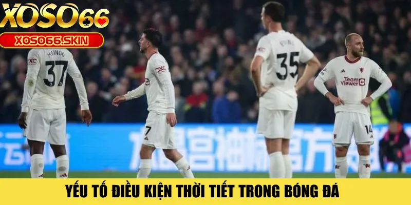 Yếu tố điều kiện thời tiết trong bóng đá 