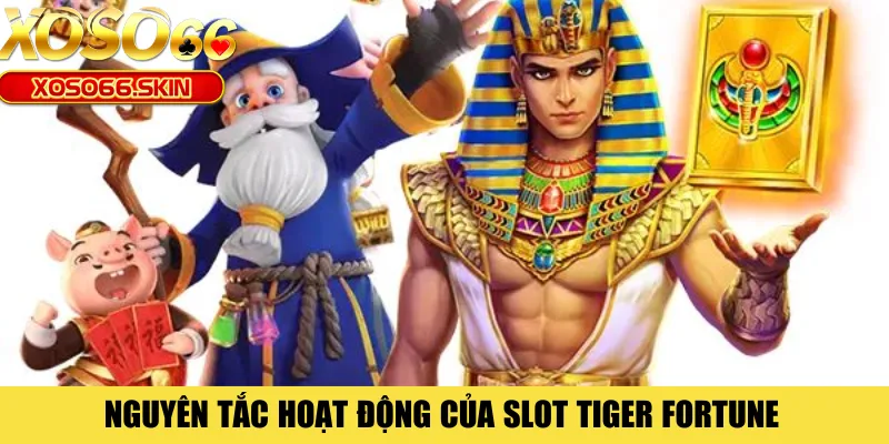 Nguyên tắc hoạt động của slot Tiger Fortune