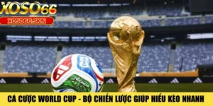 Cá Cược World Cup - Bộ Chiến Lược Giúp Hiểu Kèo Nhanh