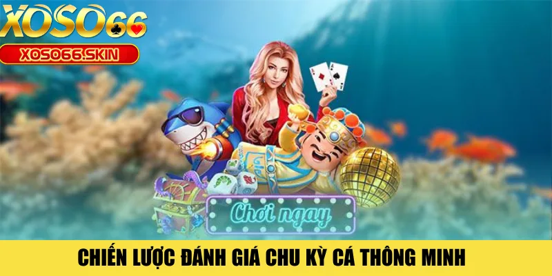 Chiến lược đánh giá chu kỳ cá thông minh 