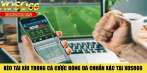 Kèo Tài Xỉu Trong Cá Cược Bóng Đá Chuẩn Xác Tại XOSO66