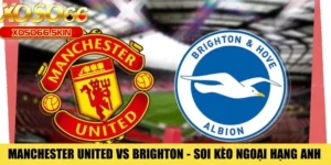 Manchester United Vs Brighton - Soi Kèo Ngoại Hạng Anh