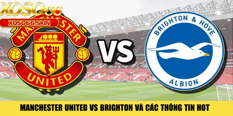 Manchester United vs Brighton và các thông tin hot 