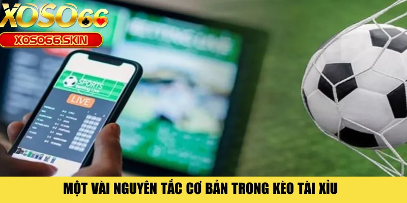 Một vài nguyên tắc cơ bản trong kèo Tài Xỉu