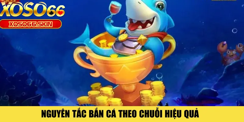 Nguyên tắc bắn cá theo chuỗi hiệu quả