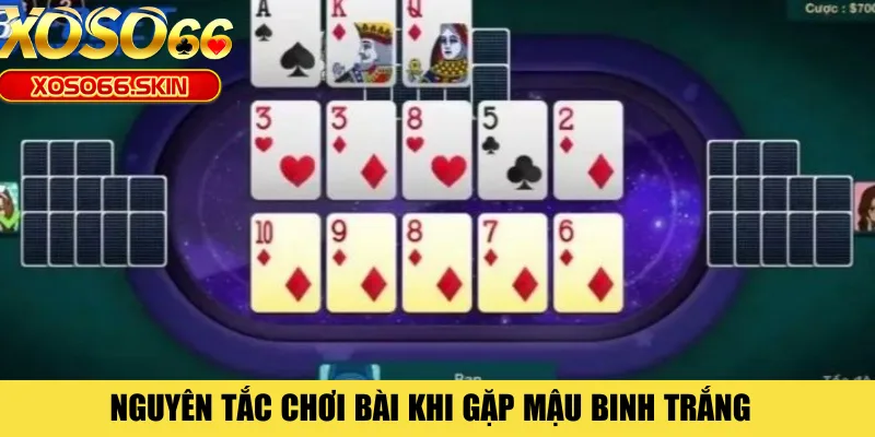 Nguyên tắc chơi bài khi gặp mậu binh trắng 