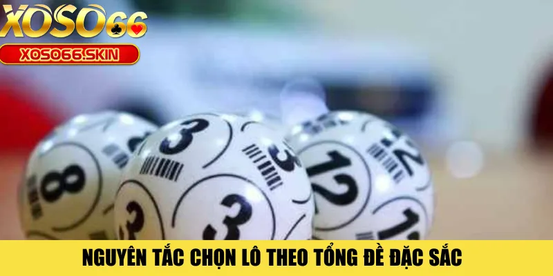 Nguyên tắc chọn lô theo tổng đề đặc sắc