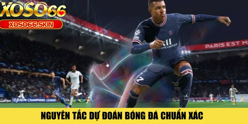 Nguyên tắc dự đoán bóng đá chuẩn xác
