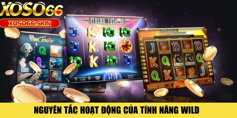 Nguyên tắc hoạt động của tính năng Wild 