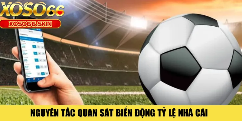 Nguyên tắc quan sát biến động tỷ lệ nhà cái