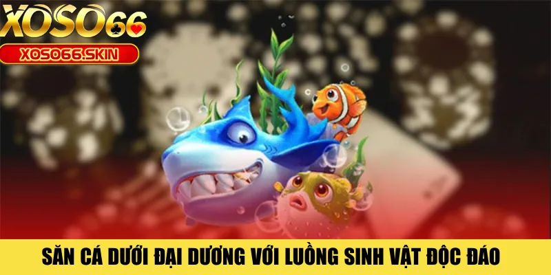 Săn cá dưới đại dương với luồng sinh vật độc đáo 