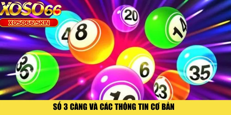 Số 3 càng và các thông tin cơ bản