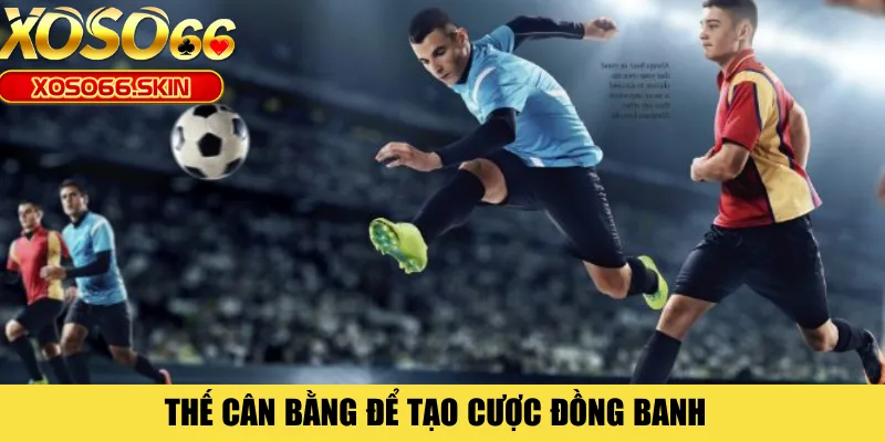 Thế cân bằng để tạo cược đồng banh