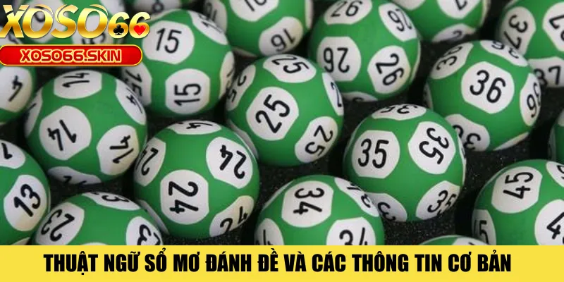 Thuật ngữ sổ mơ đánh đề và các thông tin cơ bản