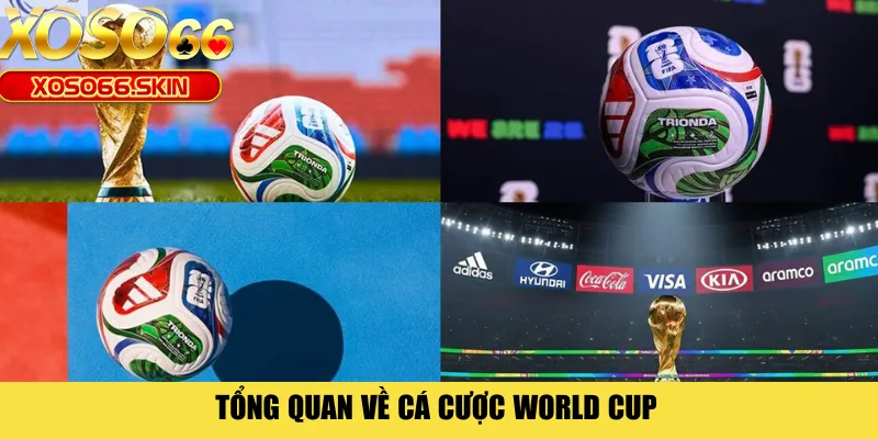 Tổng quan về cá cược World Cup