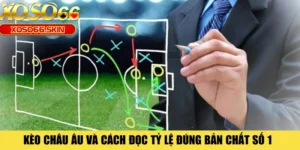 Kèo Châu Âu Và Cách Đọc Tỷ Lệ Đúng Bản Chất Số 1