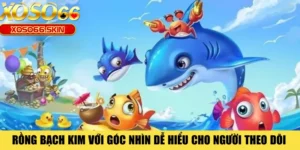 Rồng Bạch Kim Với Góc Nhìn Dễ Hiểu Cho Người Theo Dõi