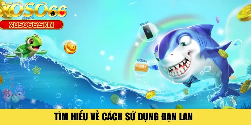 Tìm hiểu về cách sử dụng đạn lan 